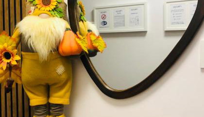 Studio apartman Avenija *** - Foto 5, Lobby or reception