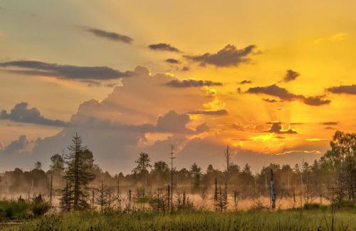 Boarding & HOUSE T24 - Foto 8