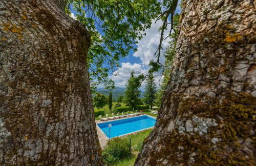 Agriturismo Casapasserini - Foto 37