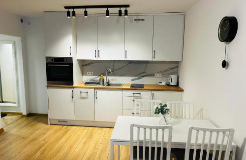 Piast Castle Apartment Brzeg - Photo 4