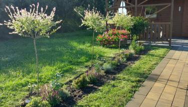 Przytulisko - Foto 2