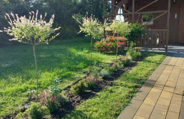 Przytulisko - Foto 2