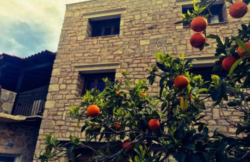 Antonia’s Home Alfa Village - Photo 23