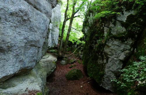 Living in Nature - Foto 33