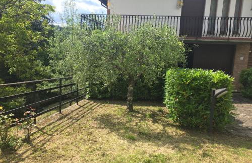 Villa Romolina - Foto 17