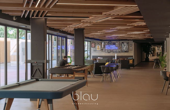 BLAU Student Housing & Language Academy - Foto 45