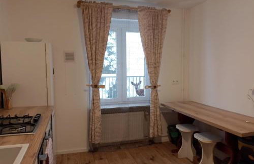 Wiejski Dom w Karkonoszach - Foto 23