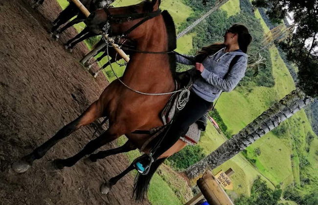 Cocora Valley Private Day Trip & Horse Riding - Foto 6