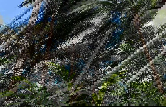 Casa Amable by Ronny's place - Manuel Antonio - Foto 11