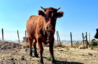 MonteSoprano Agriturismo - Resort - Spa - Gym -Camping - Suite - Foto 6