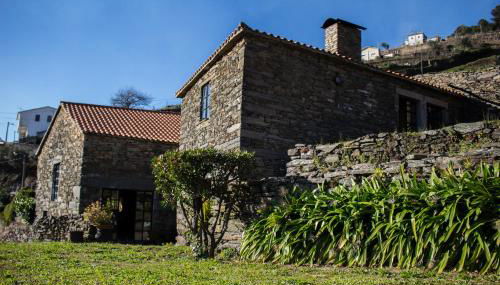 Cardenha do Douro - Photo 5