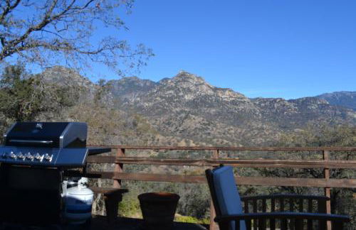 Shady Knoll - Photo 37