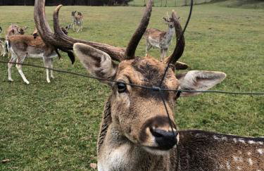 Florynka 50 - Exclusive Mountain House - Photo 17