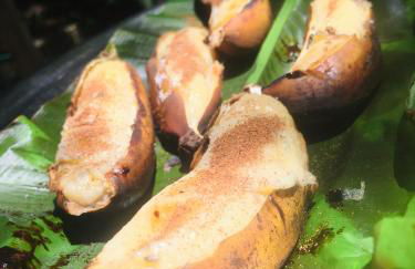 Rancho Caiçara - Photo 47