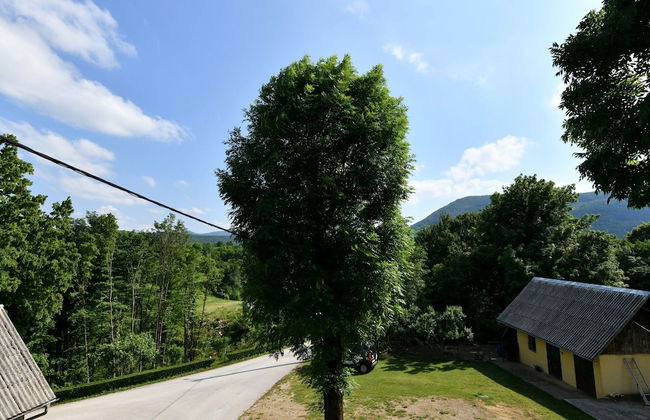 Boutique Apartment in Selište Drežnićko with Garden - Foto 22