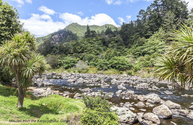 Karangahake Gold 'n Views Cottage - Foto 12