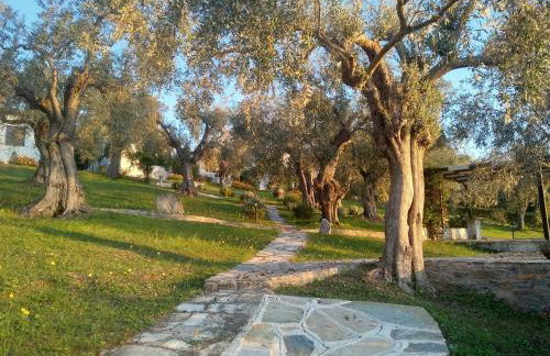 Saint Andrews Bay - Foto 22