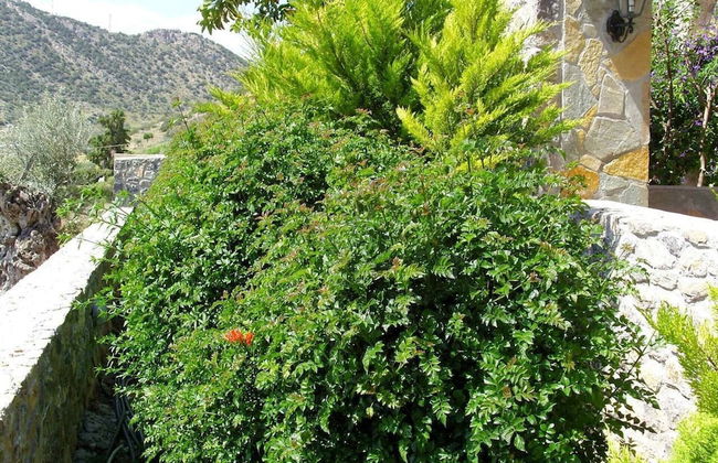 Feels Like Your Home at Ermioni - Photo 35