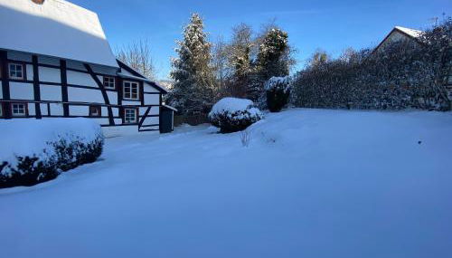 Alte Wassermühle - Foto 2