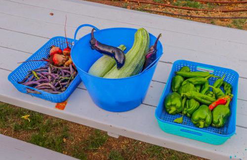 Red Hawk Coastal Estate - Foto 75