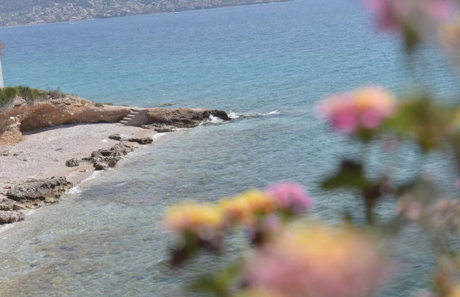 Salamis Beachfront House - Foto 31