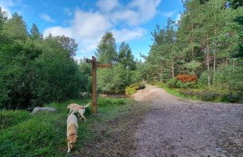 The Shelter Stone Cottage - Foto 42