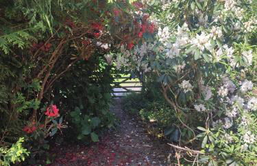 Y Cwtch - Panoramic mountain views within Snowdonia's National Park - 4x4 only - Foto 22