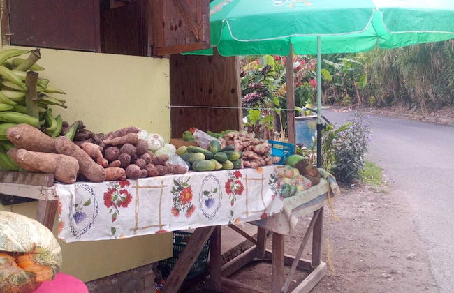 Binks appartments - Photo 23