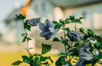 Jurajski Zakątek - Photo 6