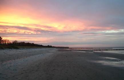 Sunshine Speicherresidenz Barth - Photo 35