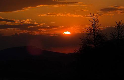 Wzgórze w Cieniu Lasu - Photo 49