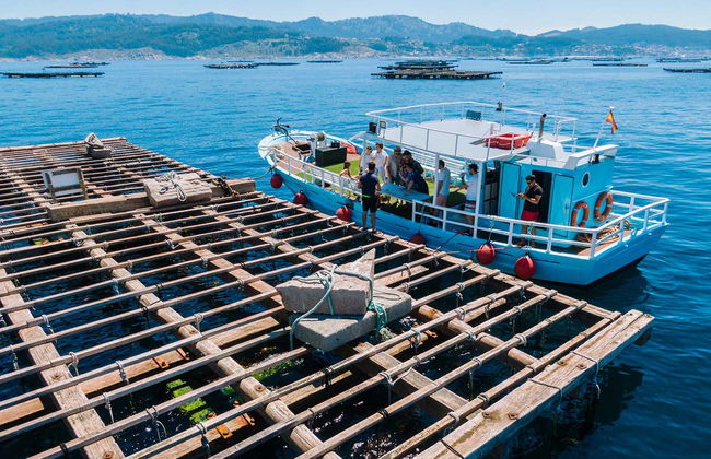 Aldán Estuary Boat Trip - Photo 3