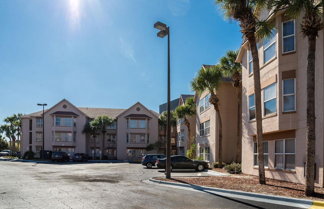 Palm Studio by Orlando Short Term - Foto 18