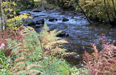 Le cosy de la vologne - Foto 7