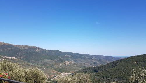 Agriturismo Dinoabbo Ulivi - Foto 4