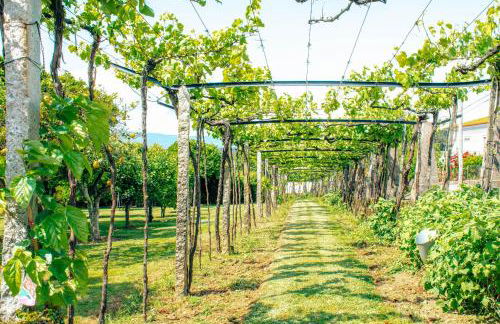 Just Like Home - Casa do Rosmaninho - Foto 68