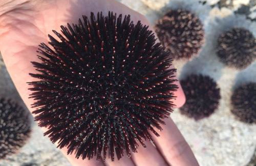 Holiday Home - Apartment Carmen - Foto 64