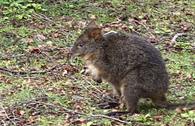 Giants Table and Cottages - Foto 56