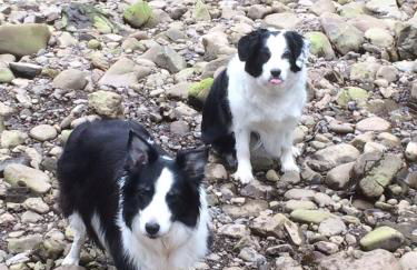 Tigh Na Mara - Foto 40