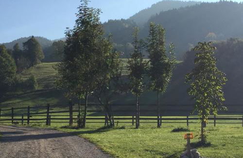 Landgut Moralthof - Foto 4