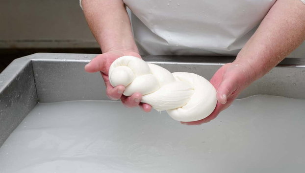 Atelier de préparation de mozzarella à Vico Equense - Photo 3, Façonnage de la mozzarella