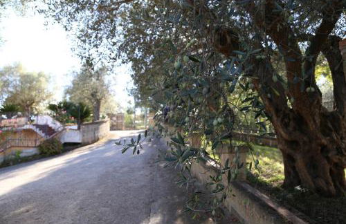 La Masseria PietraMarmo Caiazzo - App to con vista - Foto 29