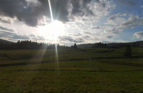 Olberówka - Foto 26