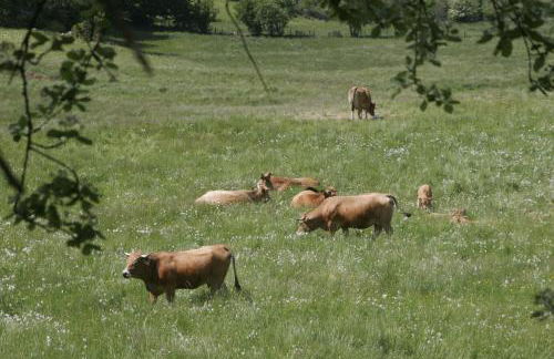 La maison d'Anastasie - Foto 12