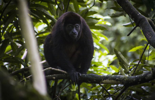 Cabañas Palma Real - Foto 11