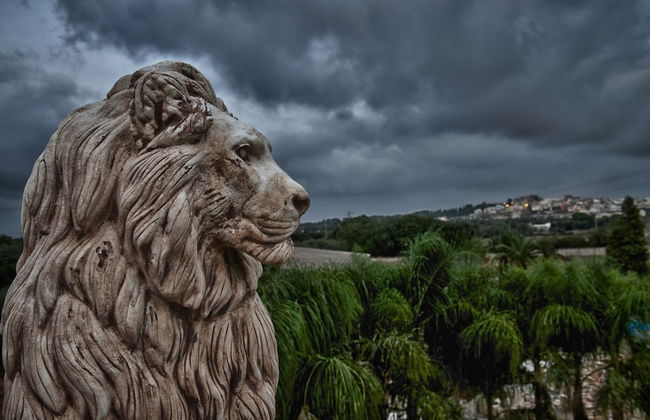 Relais Villa Lucia - Foto 56