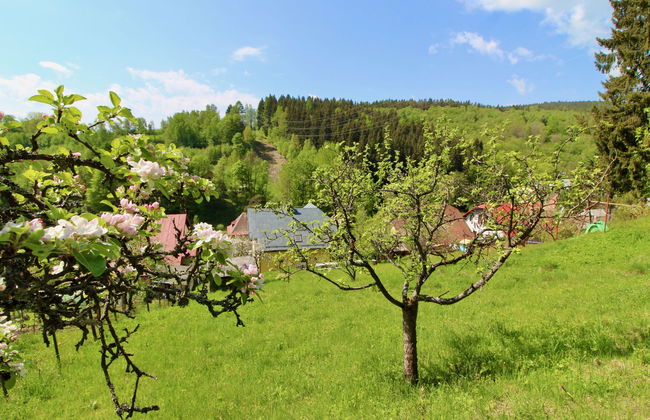 Hillside Lodge & Garden - Foto 35