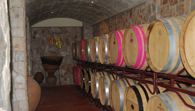 Paisajes del Algarve y visita a una bodega - Foto 3