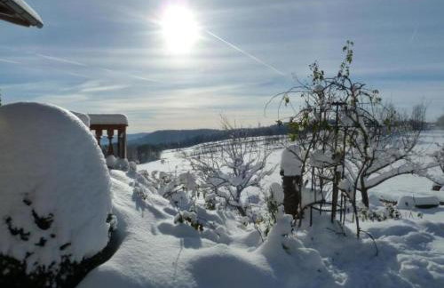 Apartment Wildfeuer by Interhome - Foto 21