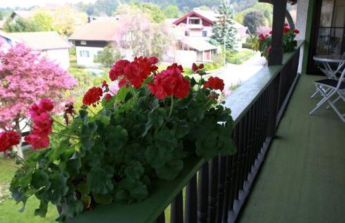 Ferienwohnungen Gästehaus Sonnenkreis - Foto 25